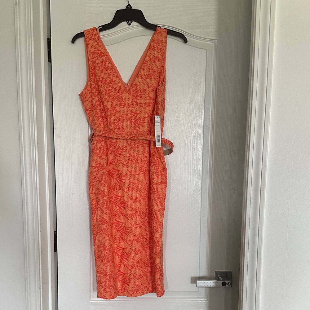 ANTONIO MELANI Clementine Lace Belted Dress